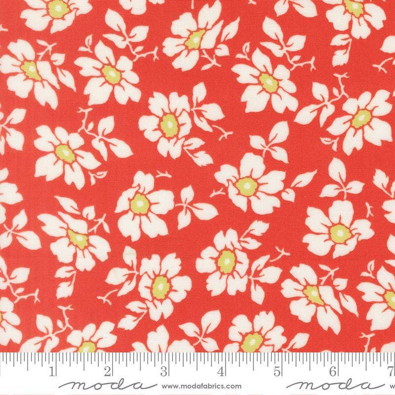 Image of Summers End Cosmos Persimmon quilting cotton fabric by Fig Tree Co for Moda Fabrics. Features flowers on a red background. Cute Little Fabric Shop.