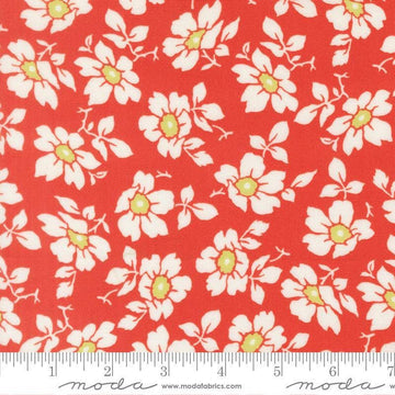 Image of Summers End Cosmos Persimmon quilting cotton fabric by Fig Tree Co for Moda Fabrics. Features flowers on a red background. Cute Little Fabric Shop.