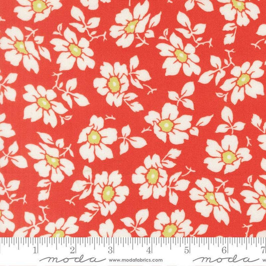 Image of Summers End Cosmos Persimmon quilting cotton fabric by Fig Tree Co for Moda Fabrics. Features flowers on a red background. Cute Little Fabric Shop.