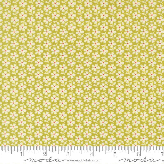 Image of Summers End Daisies Grass quilting cotton fabric by Fig Tree Co for Moda Fabrics. Features flowers on a green background. Cute Little Fabric Shop.