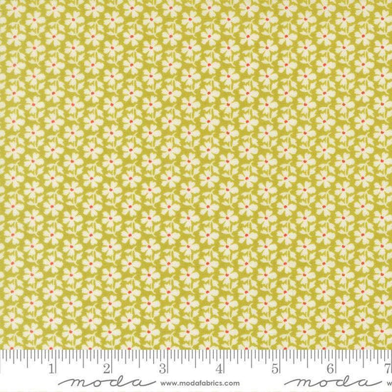 Image of Summers End Daisies Grass quilting cotton fabric by Fig Tree Co for Moda Fabrics. Features flowers on a green background. Cute Little Fabric Shop.