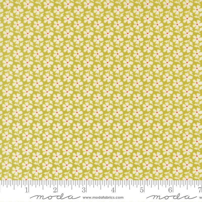 Image of Summers End Daisies Grass quilting cotton fabric by Fig Tree Co for Moda Fabrics. Features flowers on a green background. Cute Little Fabric Shop.
