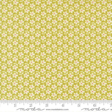 Image of Summers End Daisies Grass quilting cotton fabric by Fig Tree Co for Moda Fabrics. Features flowers on a green background. Cute Little Fabric Shop.