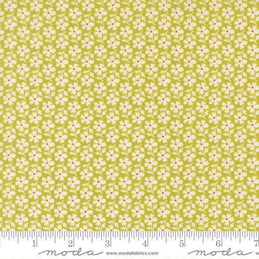 Image of Summers End Daisies Grass quilting cotton fabric by Fig Tree Co for Moda Fabrics. Features flowers on a green background. Cute Little Fabric Shop.