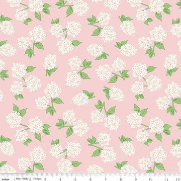 Image of Correspondence Hydrangeas Pink Dogwood quilting cotton fabric by Beverly McCullough for Riley Blake Designs. Features flowers on a COLOR background. Cute Little Fabric Shop.