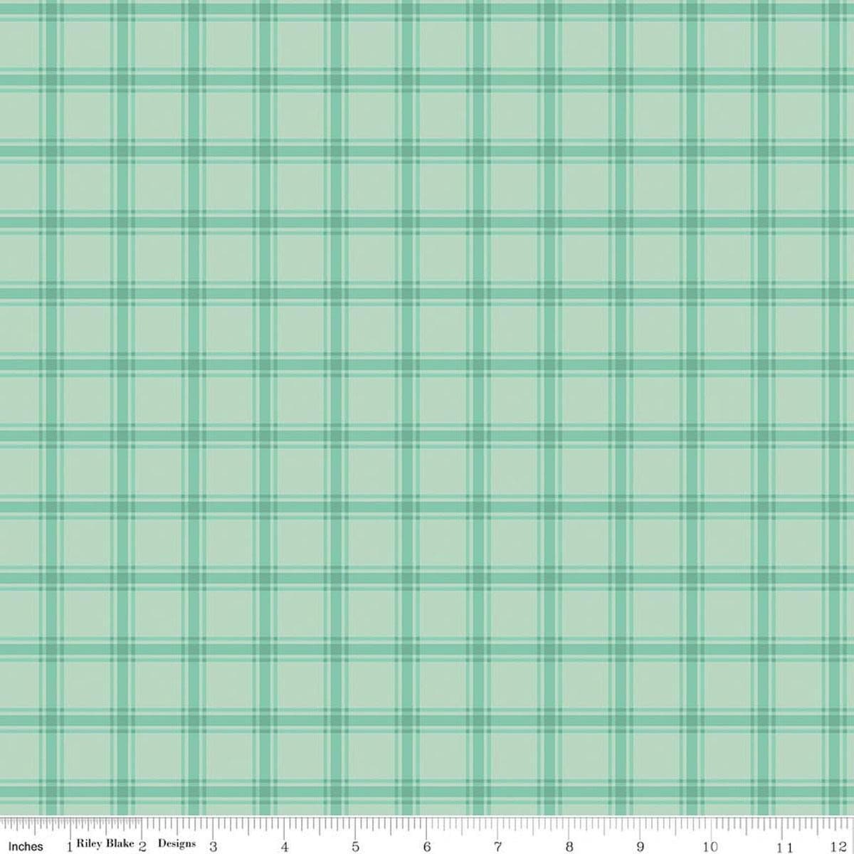 Image of Southern Charm Gingham Mint quilting cotton fabric by The RBD Designers for Riley Blake Designs. Features gingham on a green background. Cute Little Fabric Shop.