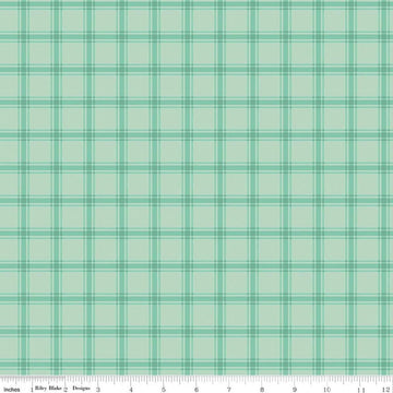 Image of Southern Charm Gingham Mint quilting cotton fabric by The RBD Designers for Riley Blake Designs. Features gingham on a green background. Cute Little Fabric Shop.