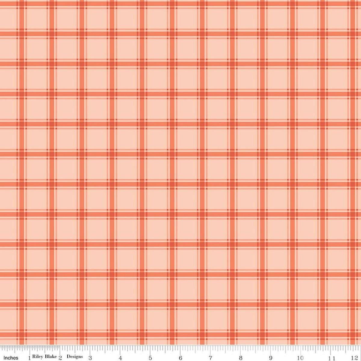 Image of Southern Charm Gingham Peaches 'n Cream quilting cotton fabric by The RBD Designers for Riley Blake Designs. Features gingham on an orange background. Cute Little Fabric Shop.