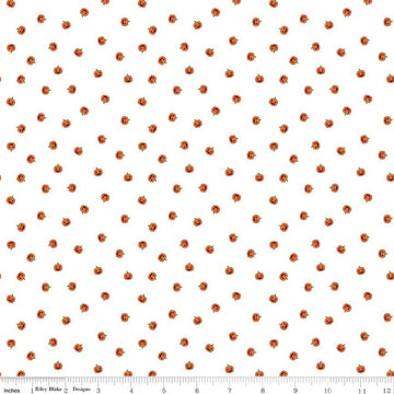 Image of Seasonal Basics Jacks White quilting cotton fabric by Christopher Thompson for Riley Blake Designs. Features pumpkins on a white background. Cute Little Fabric Shop.