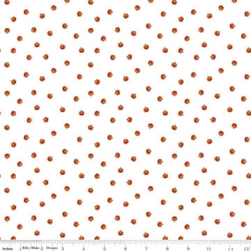 Image of Seasonal Basics Jacks White quilting cotton fabric by Christopher Thompson for Riley Blake Designs. Features pumpkins on a white background. Cute Little Fabric Shop.