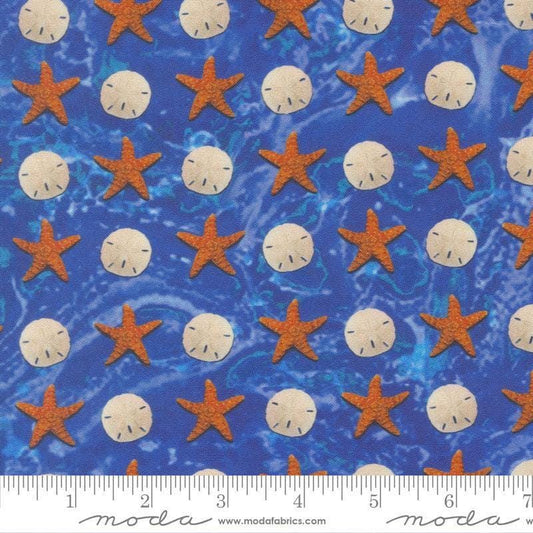 Image of Saltwater Sandy Beach Ocean quilting cotton fabric by Cathe Holden for Moda Fabrics. Features seashells and starfish on a blue background. Cute Little Fabric Shop.