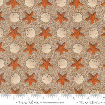 Image of Saltwater Sandy Beach Sand quilting cotton fabric by Cathe Holden for Moda Fabrics. Features starfish and seashells on a beige background. Cute Little Fabric Shop.