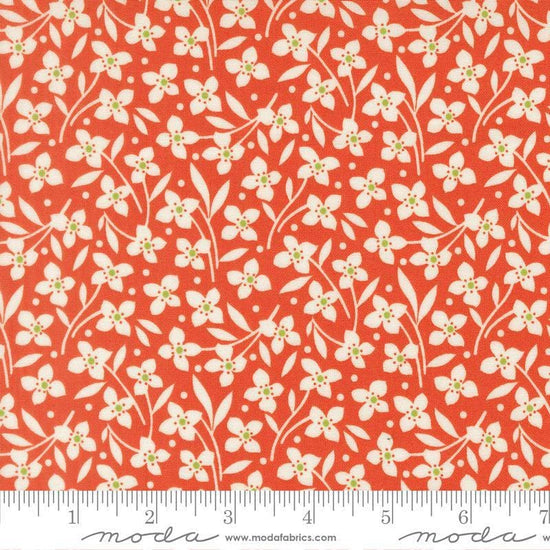 Image of Summers End Florals Persimmon quilting cotton fabric by Fig Tree Co for Moda Fabrics. Features flowers on a red background. Cute Little Fabric Shop.