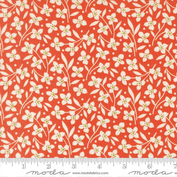 Image of Summers End Florals Persimmon quilting cotton fabric by Fig Tree Co for Moda Fabrics. Features flowers on a red background. Cute Little Fabric Shop.