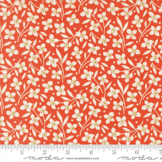 Image of Summers End Florals Persimmon quilting cotton fabric by Fig Tree Co for Moda Fabrics. Features flowers on a red background. Cute Little Fabric Shop.