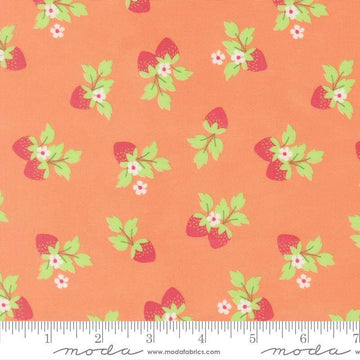 Image of Fruit Salad Strawberries Coral quilting cotton fabric by Corey Yoder for Moda Fabrics. Features strawberries on an orange background. Cute Little Fabric Shop.