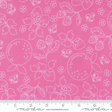 Image of Fruit Salad Sketch Petal Pink quilting cotton fabric by Corey Yoder for Moda Fabrics. Features fruit on a pink background. Cute Little Fabric Shop.