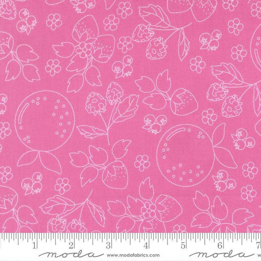 Image of Fruit Salad Sketch Petal Pink quilting cotton fabric by Corey Yoder for Moda Fabrics. Features fruit on a pink background. Cute Little Fabric Shop.