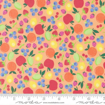 Image of Fruit Salad Novelty Cantaloupe quilting cotton fabric by Corey Yoder for Moda Fabrics. Features fruit on an orange background. Cute Little Fabric Shop.
