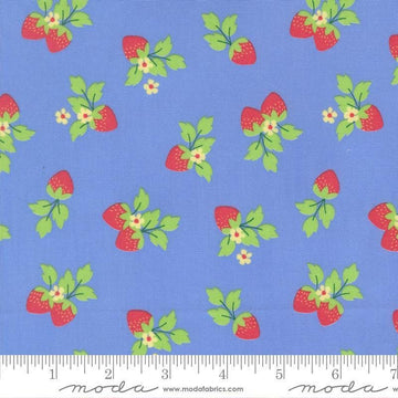 Image of Fruit Salad Strawberries Sky quilting cotton fabric by Corey Yoder for Moda Fabrics. Features strawberries on a blue background. Cute Little Fabric Shop.
