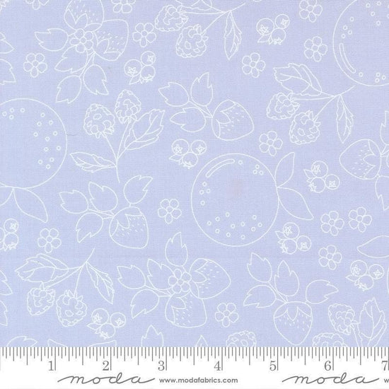 Image of Fruit Salad Sketch Light Blue quilting cotton fabric by Corey Yoder for Moda Fabrics. Features fruit on a blue background. Cute Little Fabric Shop.