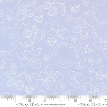 Image of Fruit Salad Sketch Light Blue quilting cotton fabric by Corey Yoder for Moda Fabrics. Features fruit on a blue background. Cute Little Fabric Shop.