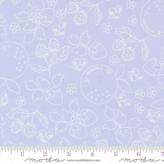 Image of Fruit Salad Sketch Light Blue quilting cotton fabric by Corey Yoder for Moda Fabrics. Features fruit on a blue background. Cute Little Fabric Shop.