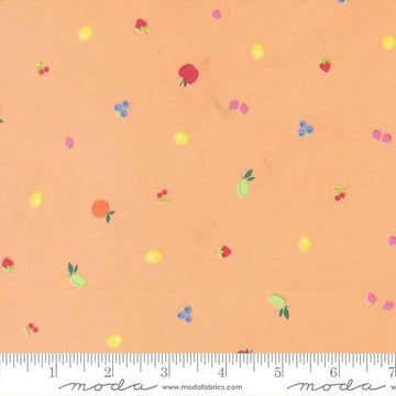 Image of Fruit Salad Snack Cantaloupe quilting cotton fabric by Corey Yoder for Moda Fabrics. Features fruit on an orange background. Cute Little Fabric Shop.