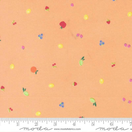 Image of Fruit Salad Snack Cantaloupe quilting cotton fabric by Corey Yoder for Moda Fabrics. Features fruit on an orange background. Cute Little Fabric Shop.