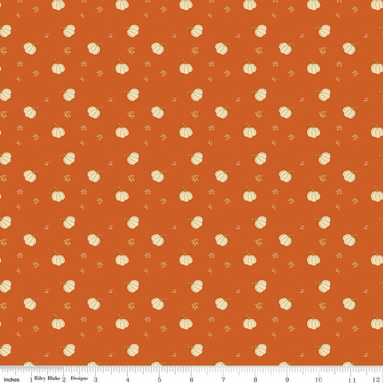 Image of Bountiful Pumpkins Autumn quilting cotton fabric by Sandy Gervais for Riley Blake Designs. Features pumpkins on an orange background. Cute Little Fabric Shop.