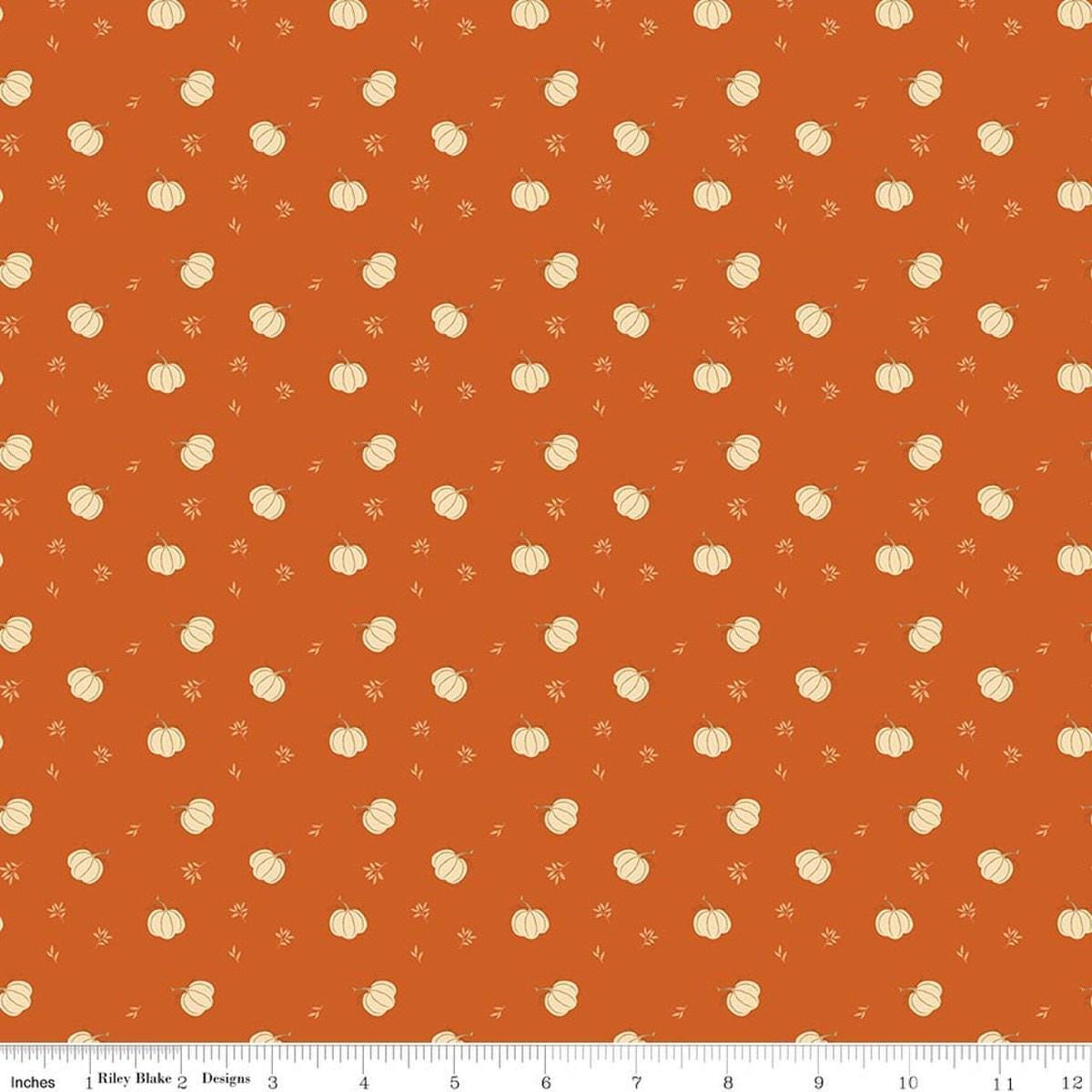 Image of Bountiful Pumpkins Autumn quilting cotton fabric by Sandy Gervais for Riley Blake Designs. Features pumpkins on an orange background. Cute Little Fabric Shop.