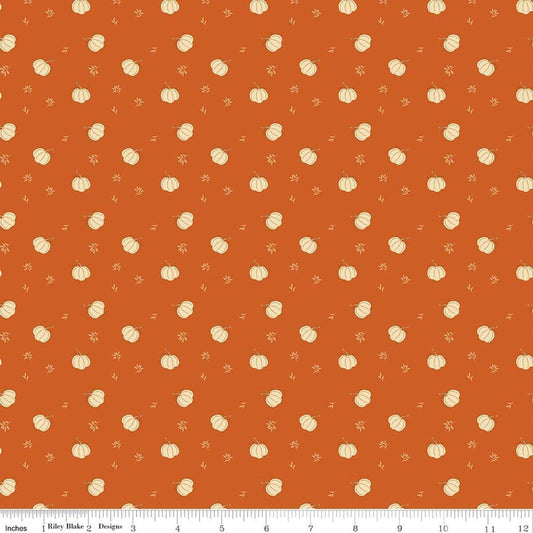Image of Bountiful Pumpkins Autumn quilting cotton fabric by Sandy Gervais for Riley Blake Designs. Features pumpkins on an orange background. Cute Little Fabric Shop.