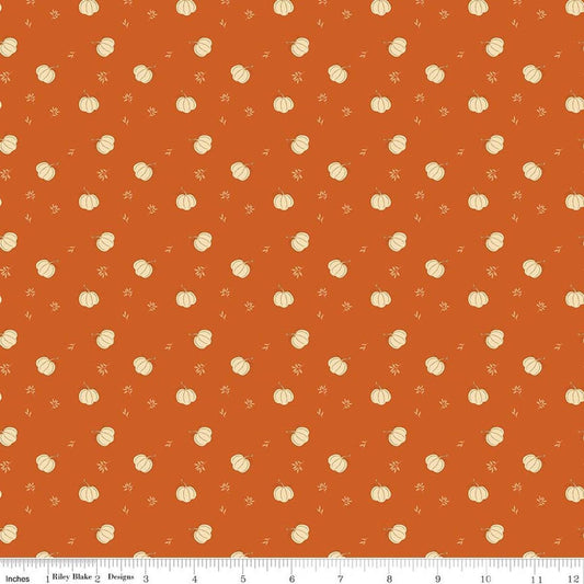 Image of Bountiful Pumpkins Autumn quilting cotton fabric by Sandy Gervais for Riley Blake Designs. Features pumpkins on an orange background. Cute Little Fabric Shop.