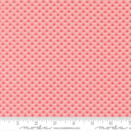 Image of A Cat Named Stitch June Blush quilting cotton fabric by Camille Roskelley for Riley Blake Designs. Features flowers on a pink background. Cute Little Fabric Shop.