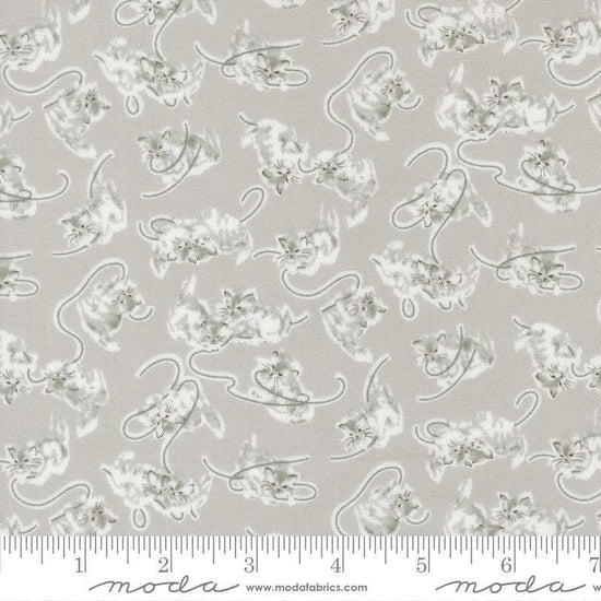 Image of A Cat Named Stitch Kitten Grey quilting cotton fabric by Camille Roskelley for Riley Blake Designs. Features cats on a gray background. Cute Little Fabric Shop.