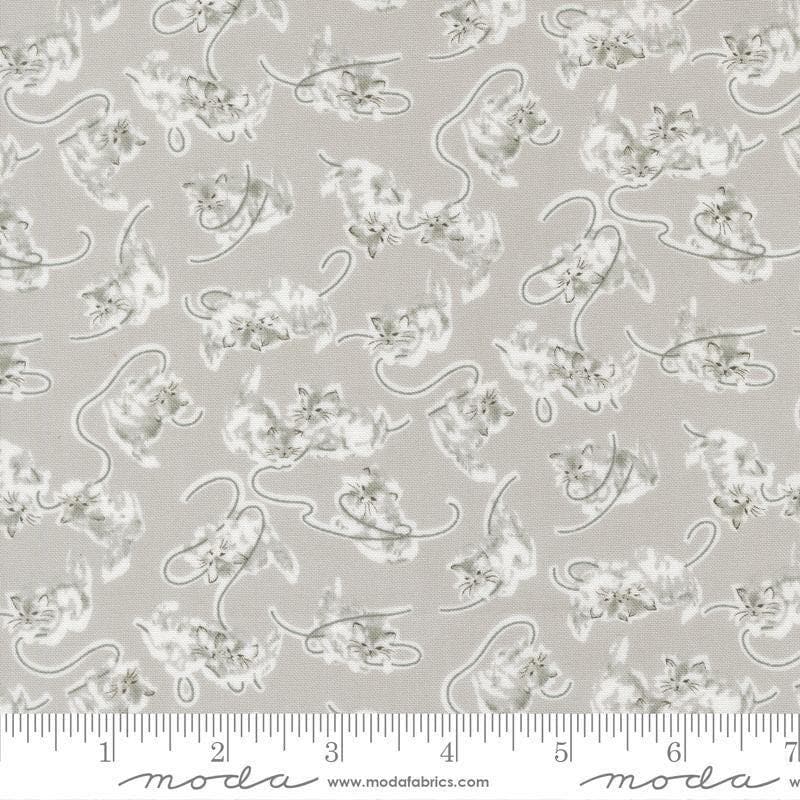 Image of A Cat Named Stitch Kitten Grey quilting cotton fabric by Camille Roskelley for Riley Blake Designs. Features cats on a gray background. Cute Little Fabric Shop.