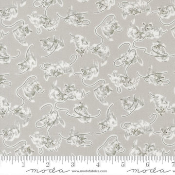 Image of A Cat Named Stitch Kitten Grey quilting cotton fabric by Camille Roskelley for Riley Blake Designs. Features cats on a gray background. Cute Little Fabric Shop.