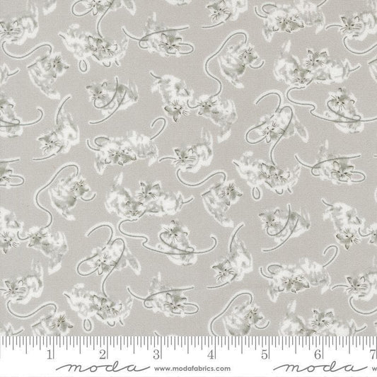 Image of A Cat Named Stitch Kitten Grey quilting cotton fabric by Camille Roskelley for Riley Blake Designs. Features cats on a gray background. Cute Little Fabric Shop.