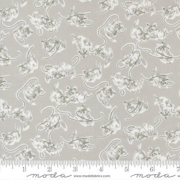 Image of A Cat Named Stitch Kitten Grey quilting cotton fabric by Camille Roskelley for Riley Blake Designs. Features cats on a gray background. Cute Little Fabric Shop.