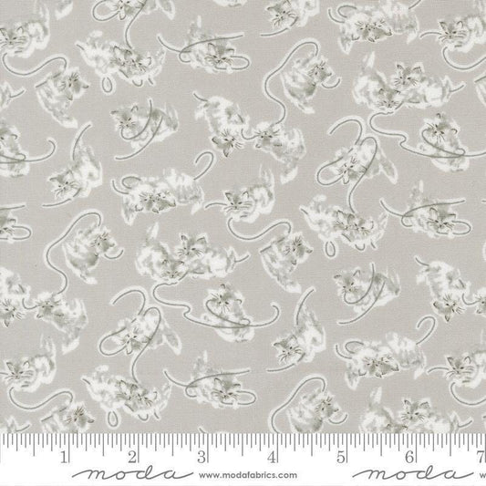 Image of A Cat Named Stitch Kitten Grey quilting cotton fabric by Camille Roskelley for Riley Blake Designs. Features cats on a gray background. Cute Little Fabric Shop.