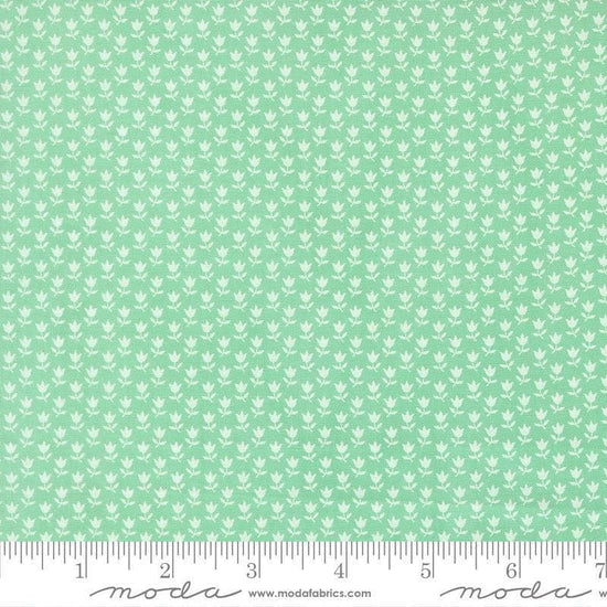 Image of A Cat Named Stitch June Green quilting cotton fabric by Camille Roskelley for Riley Blake Designs. Features flowers on a green background. Cute Little Fabric Shop.