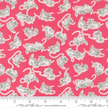 Image of A Cat Named Stitch Kitten Rosie quilting cotton fabric by Camille Roskelley for Riley Blake Designs. Features cats on a pink background. Cute Little Fabric Shop.