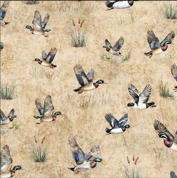 MINKY Forest, Field, & Stream Ducks Tan Cream Bird Fabric 60" Wide - 31409 - QT Fabrics 100% Polyester Fabric