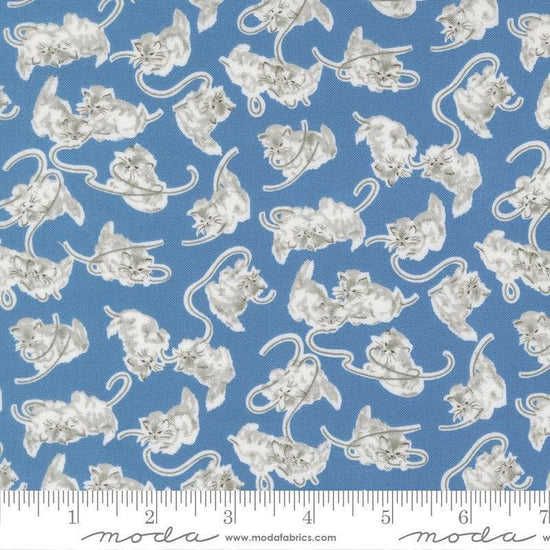 Image of A Cat Named Stitch Kitten Blue quilting cotton fabric by Camille Roskelley for Riley Blake Designs. Features cats on a blue background. Cute Little Fabric Shop.