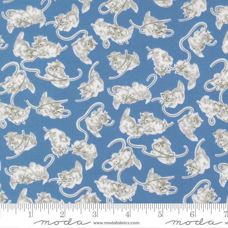 Image of A Cat Named Stitch Kitten Blue quilting cotton fabric by Camille Roskelley for Riley Blake Designs. Features cats on a blue background. Cute Little Fabric Shop.