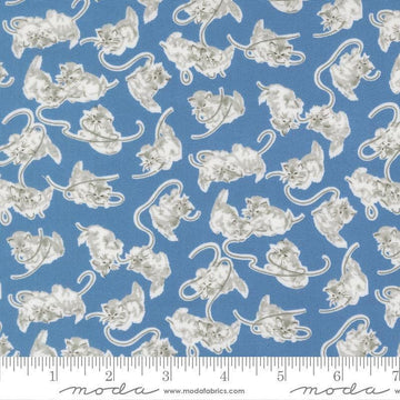 Image of A Cat Named Stitch Kitten Blue quilting cotton fabric by Camille Roskelley for Riley Blake Designs. Features cats on a blue background. Cute Little Fabric Shop.