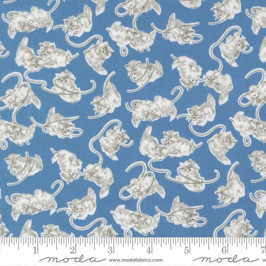Image of A Cat Named Stitch Kitten Blue quilting cotton fabric by Camille Roskelley for Riley Blake Designs. Features cats on a blue background. Cute Little Fabric Shop.