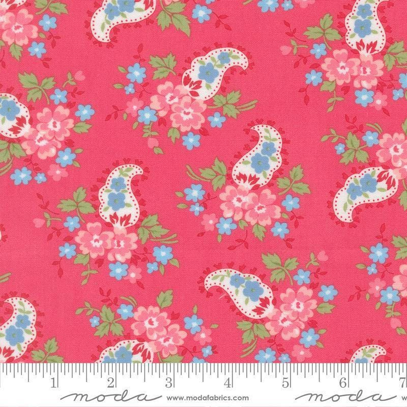 Image of A Cat Named Stitch Paisley Rosie quilting cotton fabric by Camille Roskelley for Riley Blake Designs. Features paisley and flowers on a pink background. Cute Little Fabric Shop.