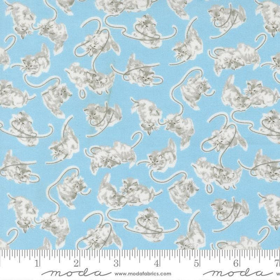 Image of A Cat Named Stitch Kitten Sky quilting cotton fabric by Camille Roskelley for Riley Blake Designs. Features cats on a blue background. Cute Little Fabric Shop.