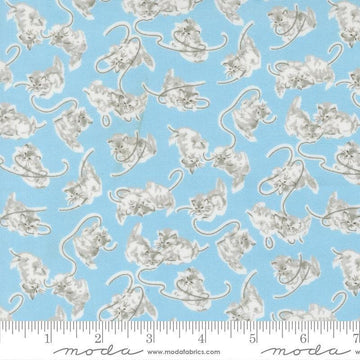 Image of A Cat Named Stitch Kitten Sky quilting cotton fabric by Camille Roskelley for Riley Blake Designs. Features cats on a blue background. Cute Little Fabric Shop.